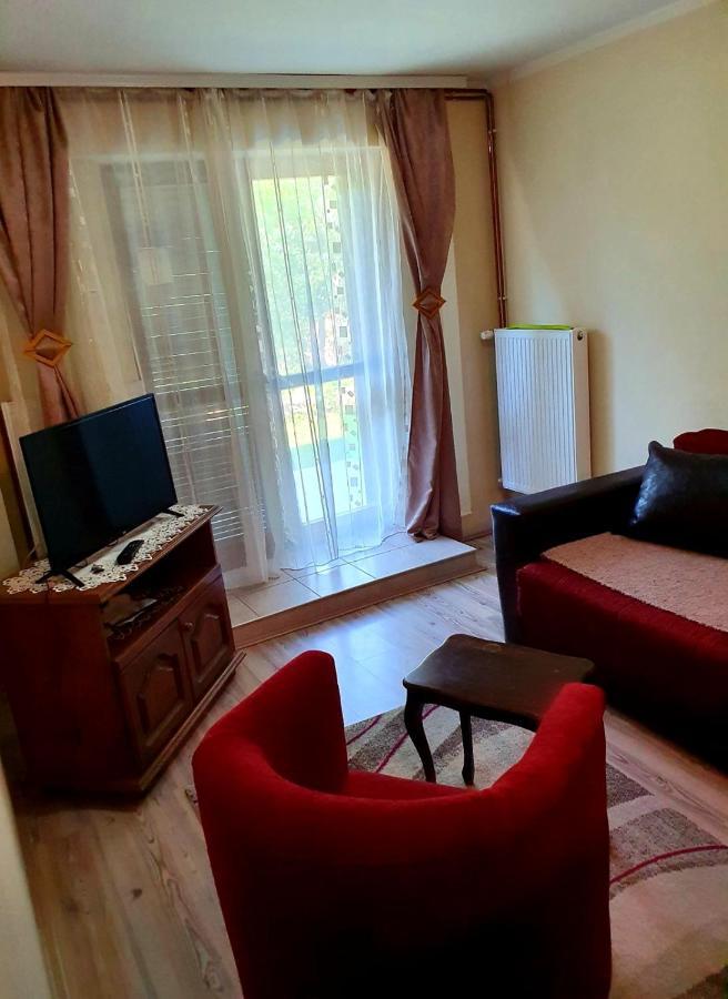 Apartman Sergej 2 Apartment Soko Banja Luaran gambar