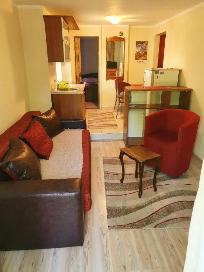 Apartman Sergej 2 Soko Banja Luaran gambar