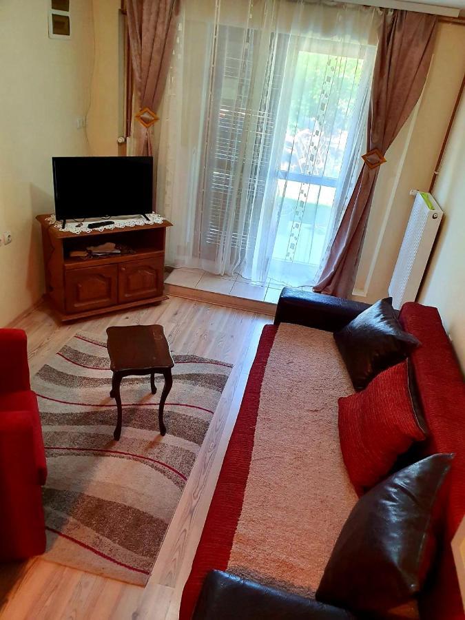 Apartman Sergej 2 Apartment Soko Banja Luaran gambar