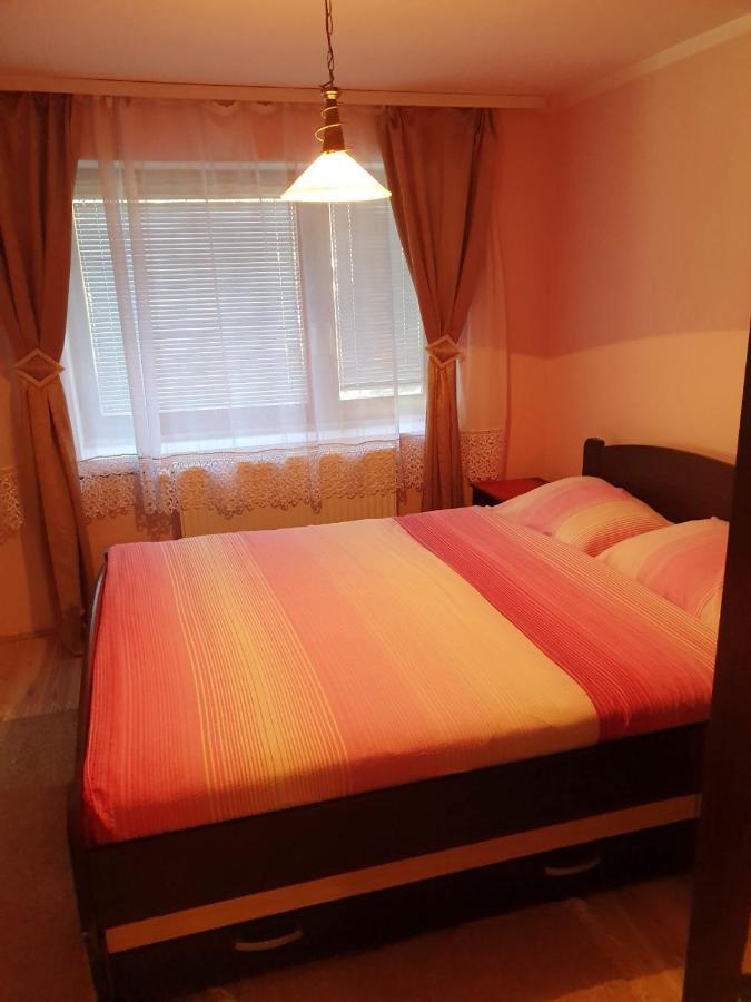 Apartman Sergej 2 Apartment Soko Banja Luaran gambar